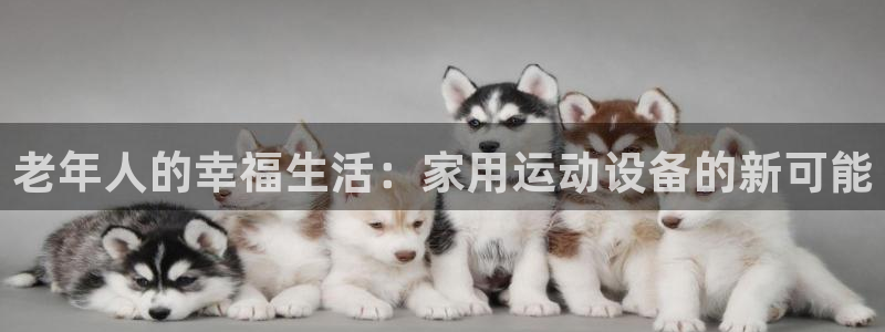 海南征途国际发展怎么样：老年人的幸福生活：家用运动设