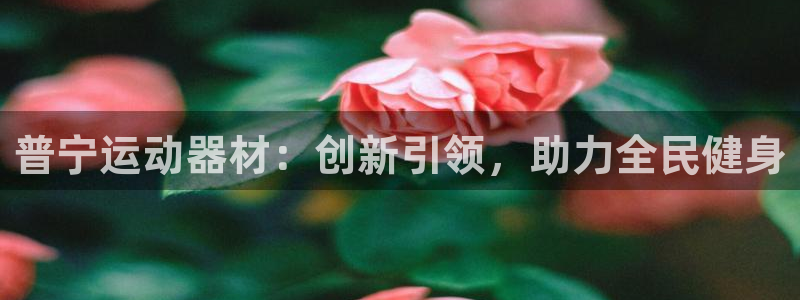 征途国际：普宁运动器材：创新引领，助力全民健身