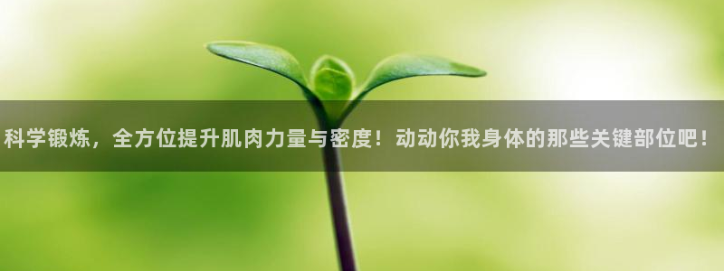 征途国际娱乐：科学锻炼，全方位提升肌肉力量与密度！动