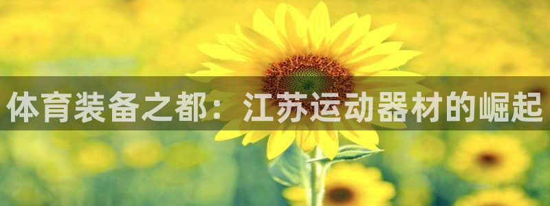 征途国际招商：体育装备之都：江苏运动器材的崛起