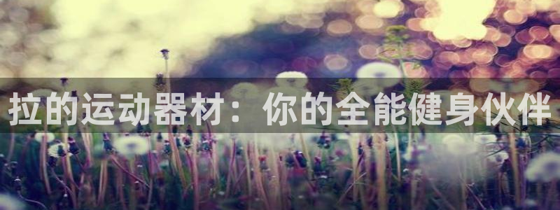征途国际代理：拉的运动器材：你的全能健身伙伴