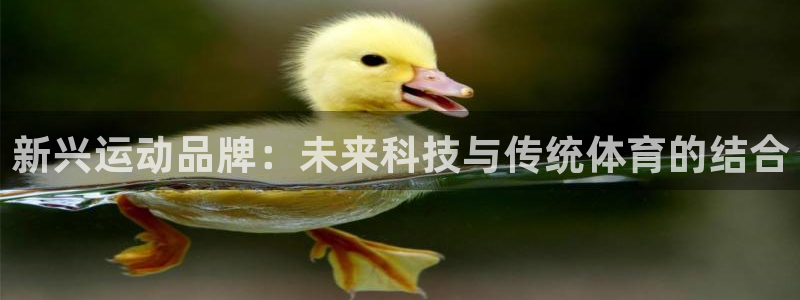 征途国际平台注册流程图：新兴运动品牌：未来科技与传统
