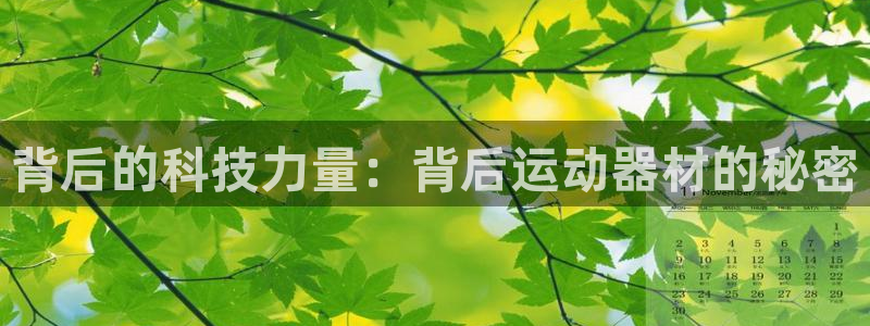 征途国际五金厂：背后的科技力量：背后运动器材的秘密