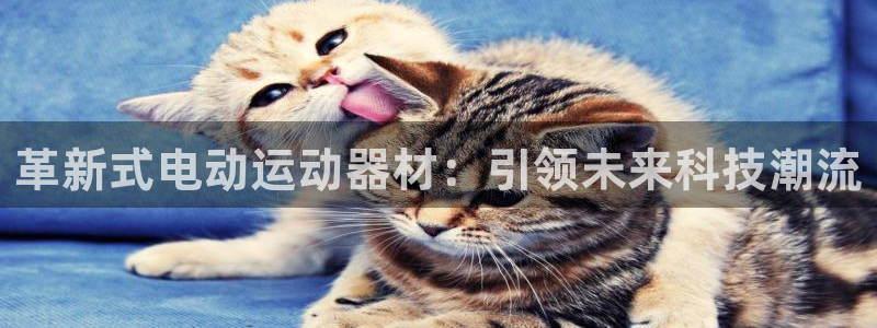 征途国际平台：革新式电动运动器材：引领未来科技潮流