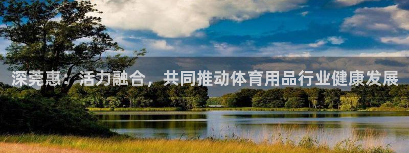 海南征途国际发展怎么样：深莞惠：活力融合，共同推动体