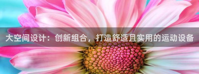海南征途国际发展怎么样：大空间设计：创新组合，打造舒
