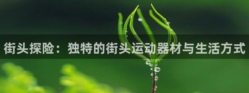 征途国际开户：街头探险：独特的街头运动器材与生活方式
