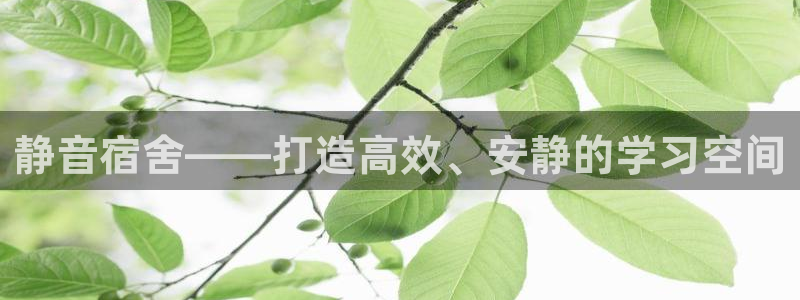 征途国际软件：静音宿舍——打造高效、安静的学习空间