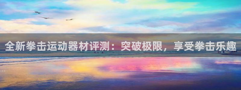 征途国际招商电话地址是多少：全新拳击运动器材评测：突破极限，