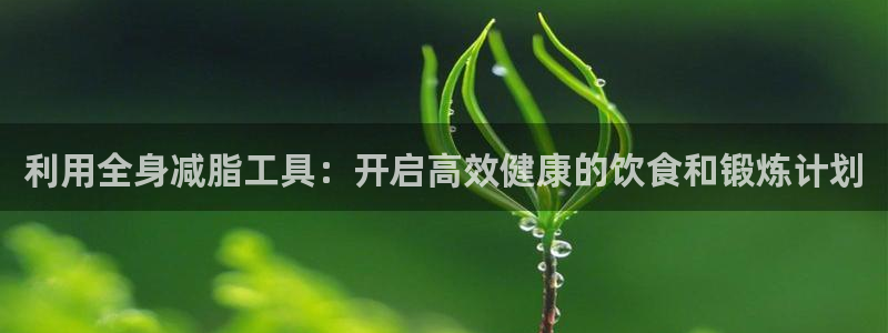 征途国际平台注册要钱吗：利用全身减脂工具：开启高效健康的饮食