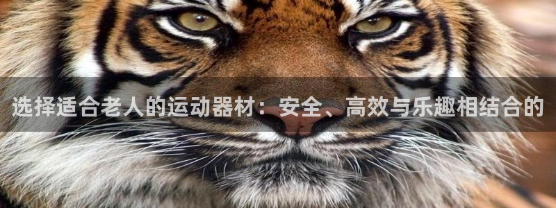 征途国际招商电话地址查询