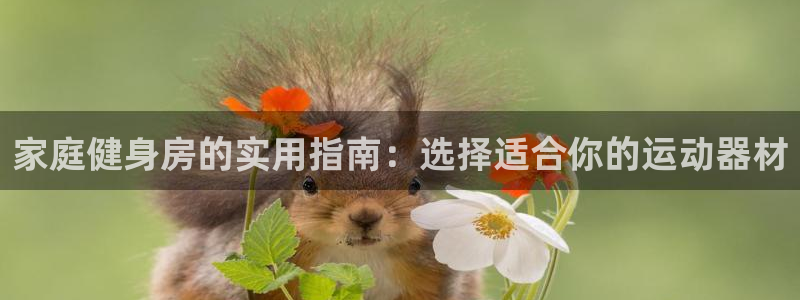 征途国际平台假的吗是真的吗吗：家庭健身房的实用指南：选择适合