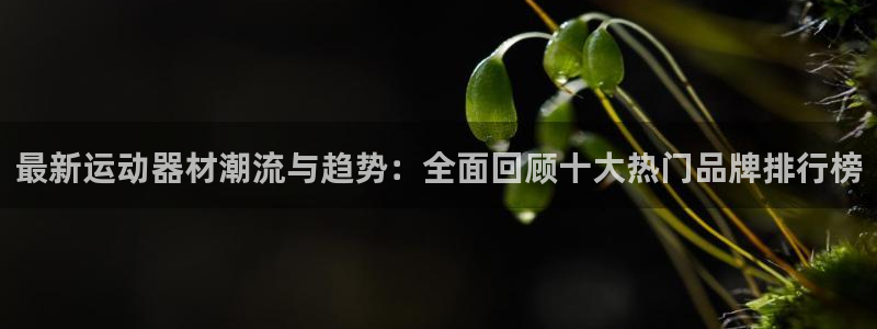 征途国际招商电话号码
