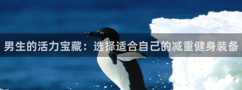 征途国际五金厂：男生的活力宝藏：选择适合自己的减重健身装备
