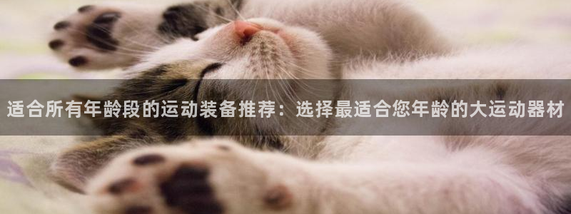 征途国际招商电话号码是多少：适合所有年龄段的运动装备推荐：选