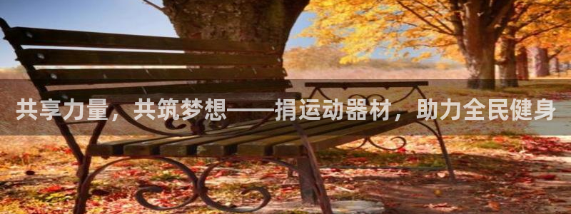 征途国际娱乐40996：共享力量，共筑梦想——捐运动