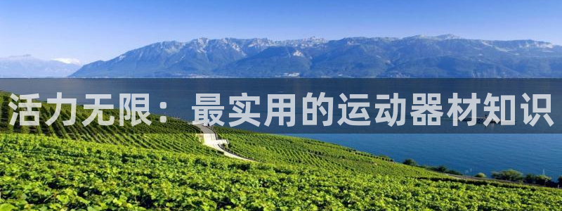 征途国际娱乐：活力无限：最实用的运动器材知识