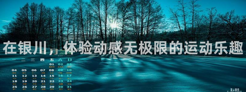 征途国际官方：在银川，体验动感无极限的运动乐趣