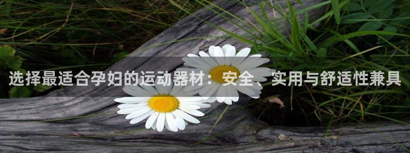 征途国际平台注册流程图：选择最适合孕妇的运动器材：安全、实用