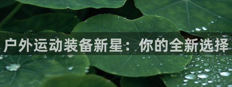 征途国际招商电话是多少啊:户外运动装备新星:你的全新选择