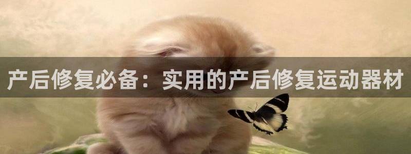 征途国际招商电话号码查询是多少：产后修复必备：实用的产后修复